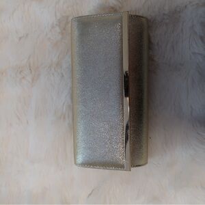 Amazon Silver Clutch